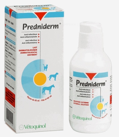 prednisolone